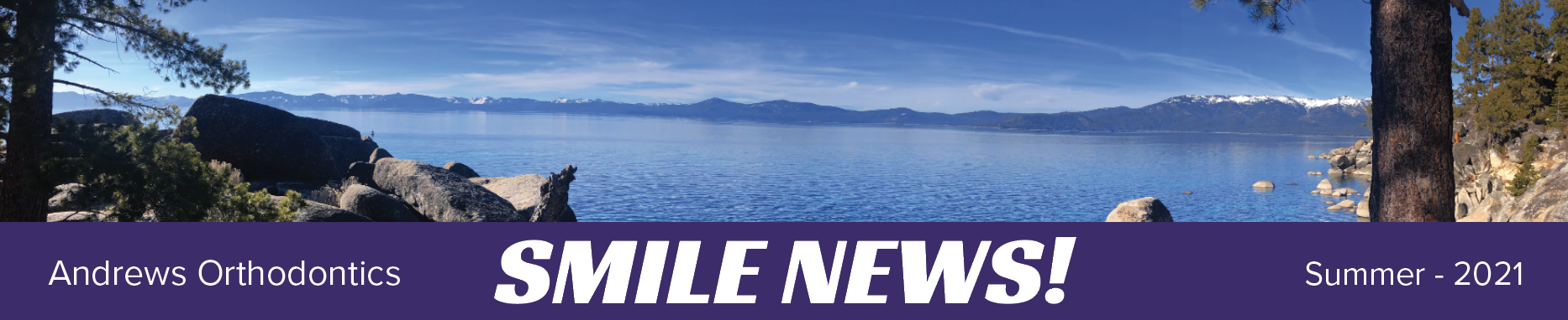 andrews braces newsletter header andrews braces newsletter header